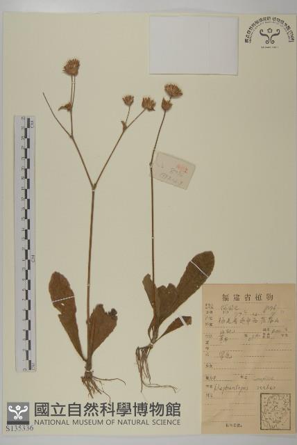 燈豎朽藏品圖，第1張