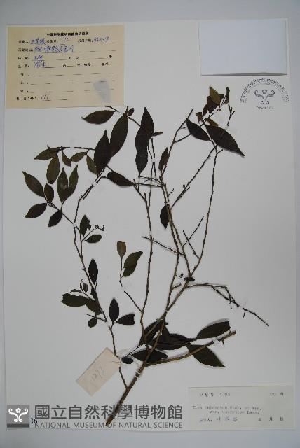 登錄號:S044336藏品圖，第1張