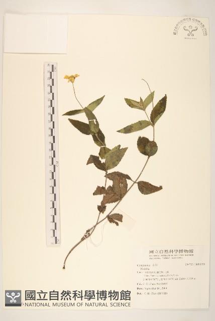 登錄號:S096936藏品圖，第1張