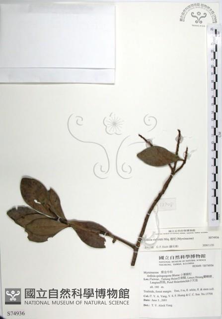 樹杞藏品圖，第1張