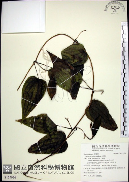 百部藏品圖，第1張