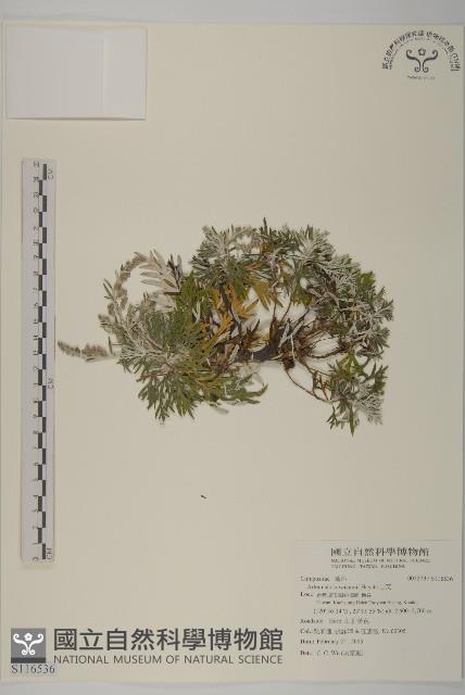 太魯閣艾藏品圖，第1張