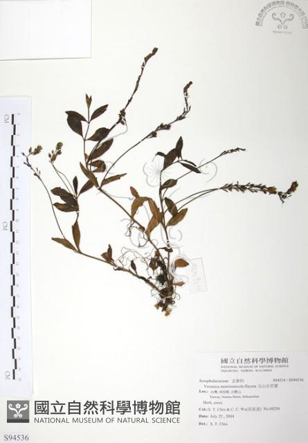 玉山水苦賈藏品圖，第1張