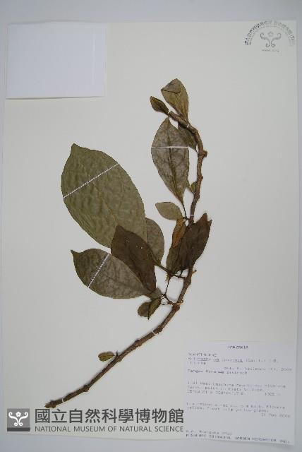 登錄號:S100666藏品圖，第1張