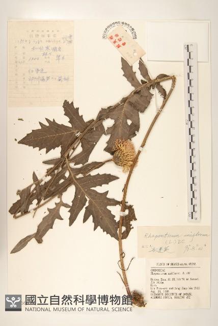 祁州漏盧藏品圖，第1張