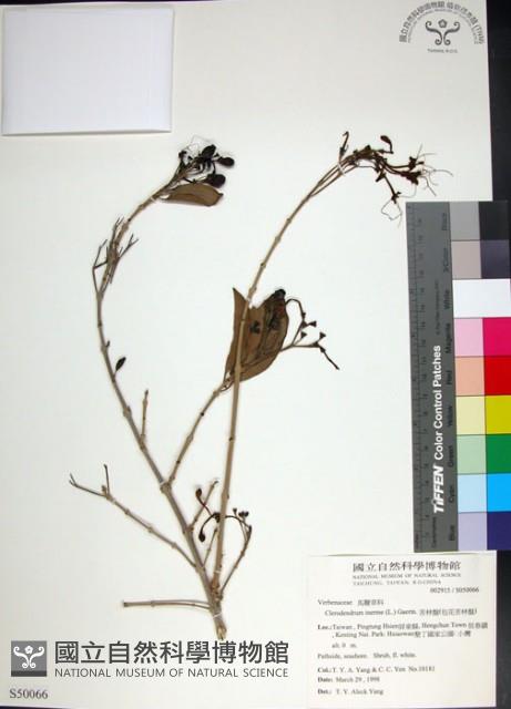 苦林盤藏品圖，第1張