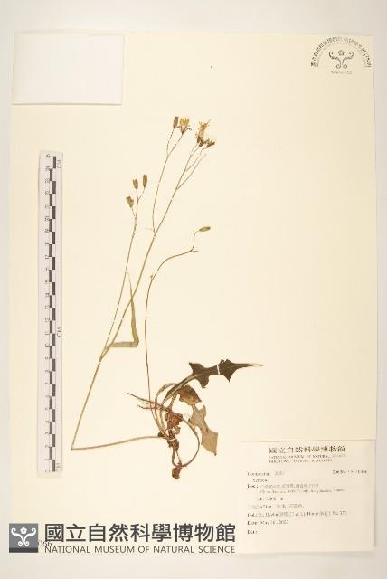 登錄號:S140066藏品圖，第1張