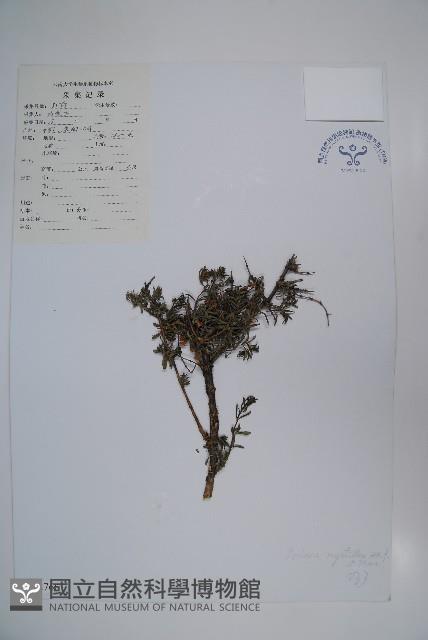 登錄號:S022766藏品圖，第1張