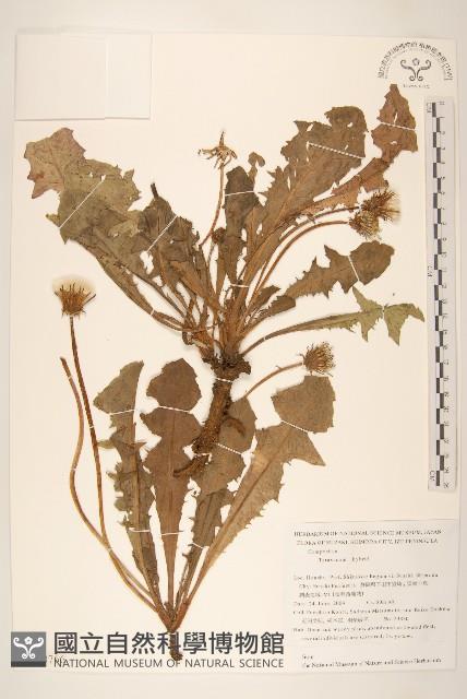 登錄號:S130766藏品圖，第1張