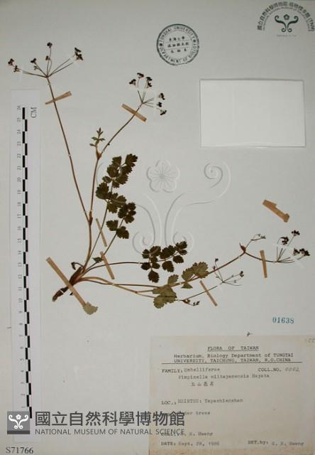 玉山茴香藏品圖，第1張