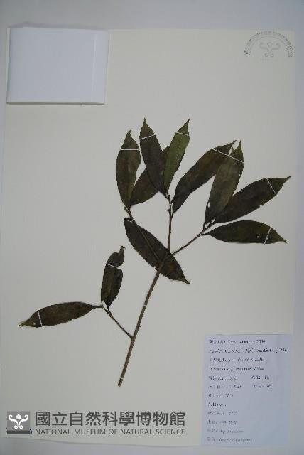 登錄號:S112266藏品圖，第1張