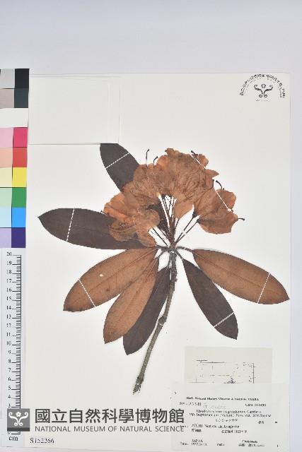 登錄號:S152266藏品圖，第1張