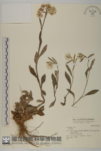 登錄號:S037266藏品圖，第1張