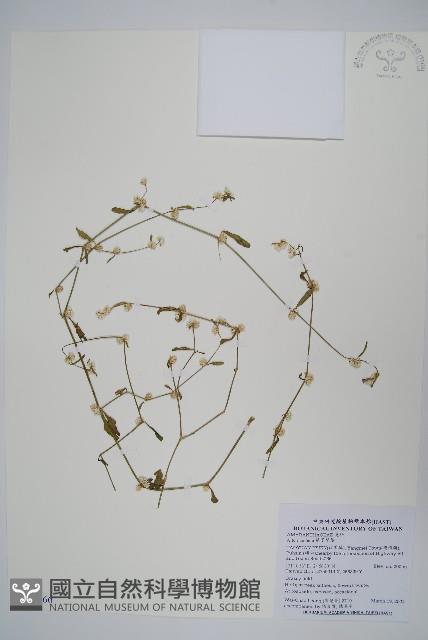 登錄號:S103466藏品圖，第1張