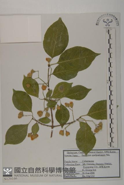 登錄號:S120166藏品圖，第1張