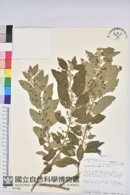 登錄號:S097166藏品圖，第1張