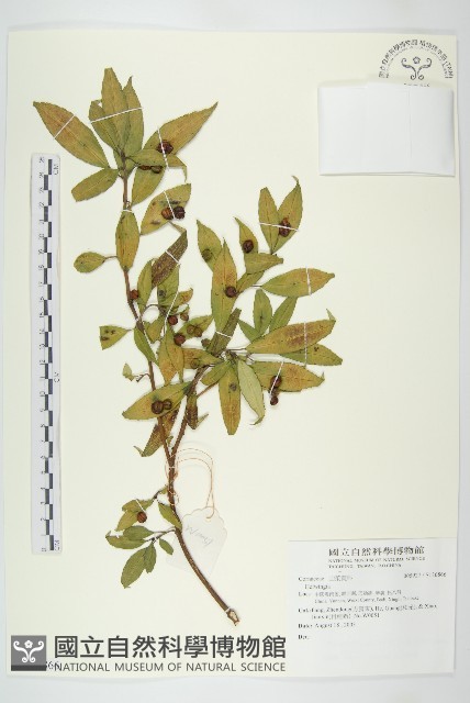 登錄號:S136866藏品圖，第1張