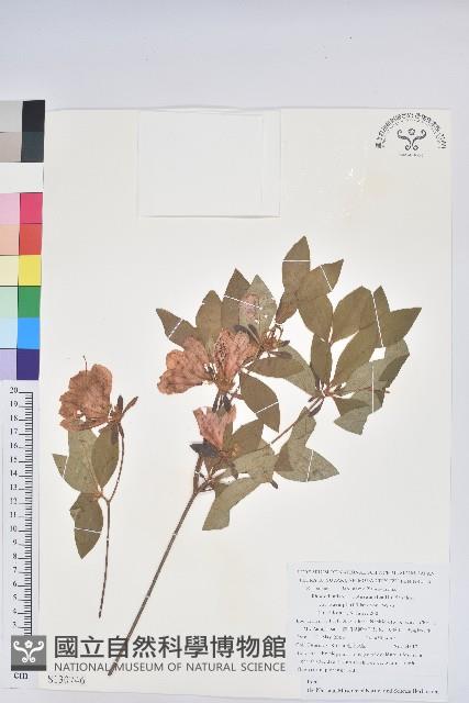 登錄號:S130746藏品圖，第1張