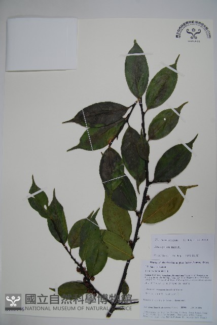登錄號:S105746藏品圖，第1張