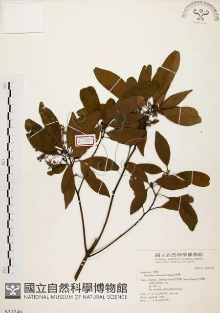 香楠藏品圖，第1張