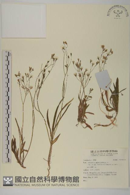 登錄號:S140146藏品圖，第1張