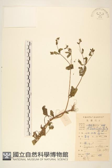 豨簽藏品圖，第1張