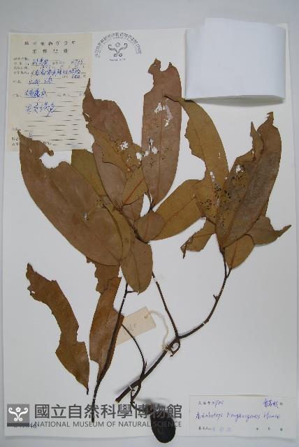 登錄號:S041846藏品圖，第1張