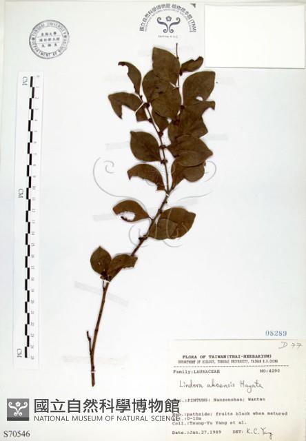 內苳子藏品圖，第1張