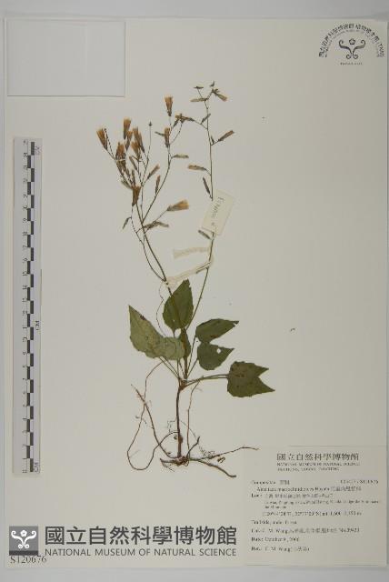 阿里山鬼督郵藏品圖，第1張