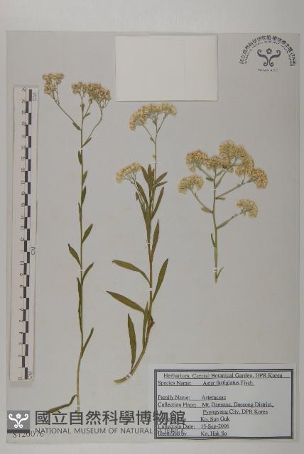 登錄號:S120076藏品圖，第1張