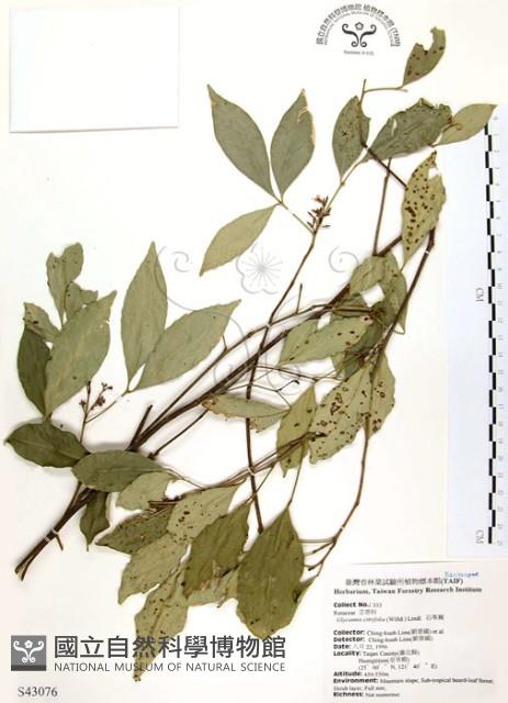 石苓舅藏品圖，第1張