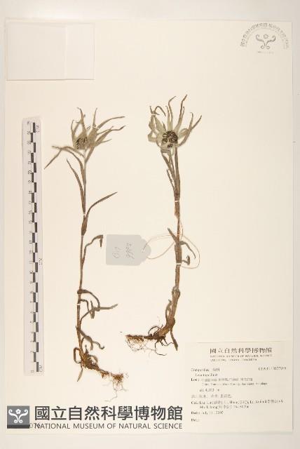 登錄號:S137076藏品圖，第1張