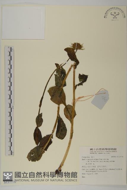 登錄號:S137776藏品圖，第1張