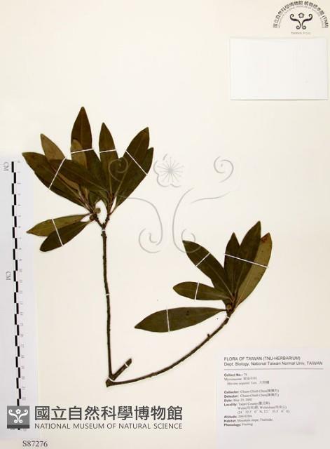 大明橘藏品圖，第1張