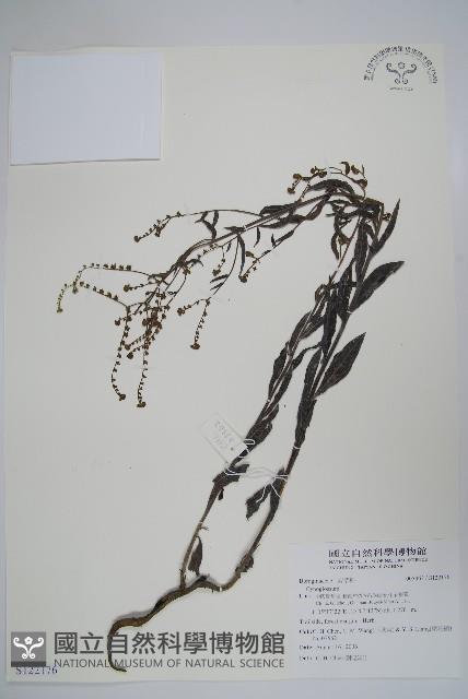 登錄號:S122176藏品圖，第1張