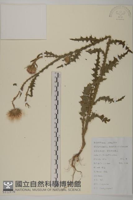 飛廉藏品圖，第1張