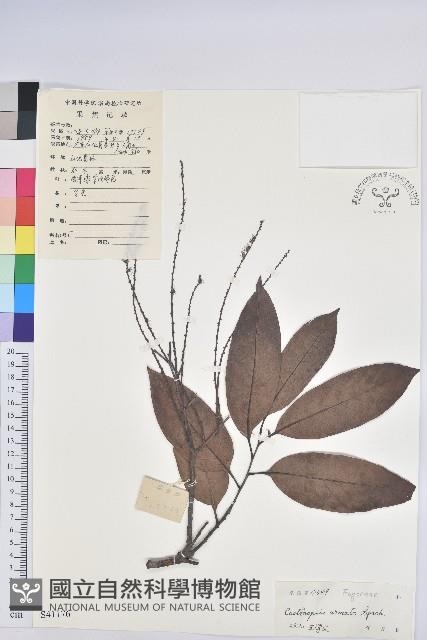 登錄號:S041176藏品圖，第1張