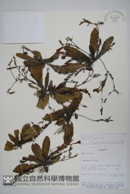 登錄號:S113176藏品圖，第1張