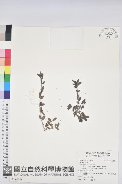 登錄號:S122376藏品圖，第1張