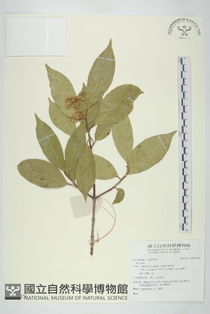 登錄號:S136576藏品圖，第1張