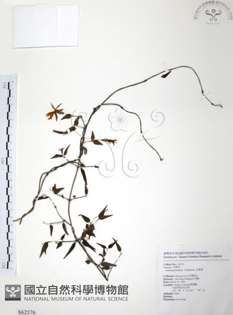 山素英藏品圖，第1張