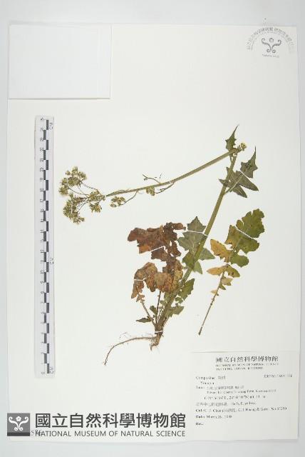 登錄號:S131576藏品圖，第1張