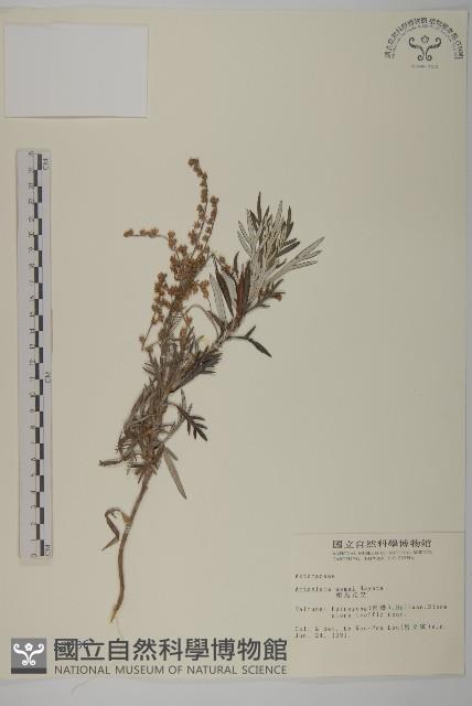 太魯閣艾藏品圖，第1張