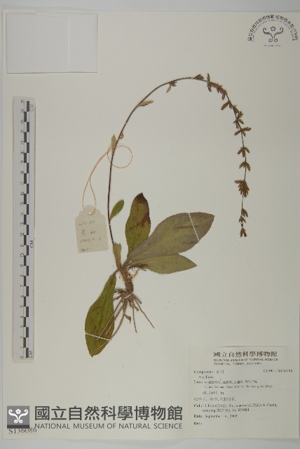 登錄號:S136086藏品圖，第1張