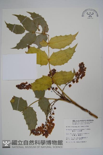 玉山十大功勞藏品圖，第1張