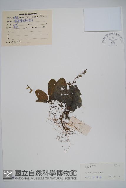 登錄號:S044086藏品圖，第1張