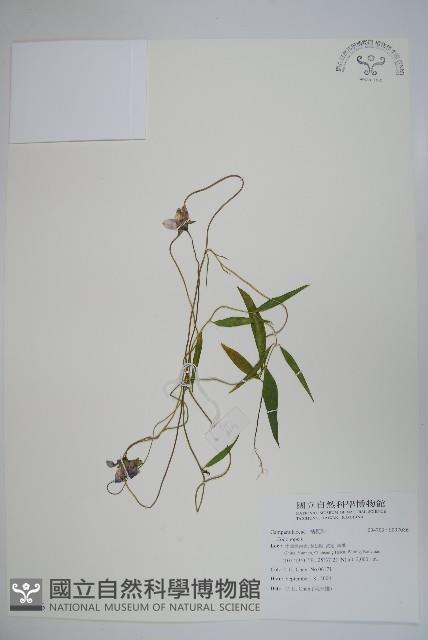 登錄號:S097086藏品圖，第1張