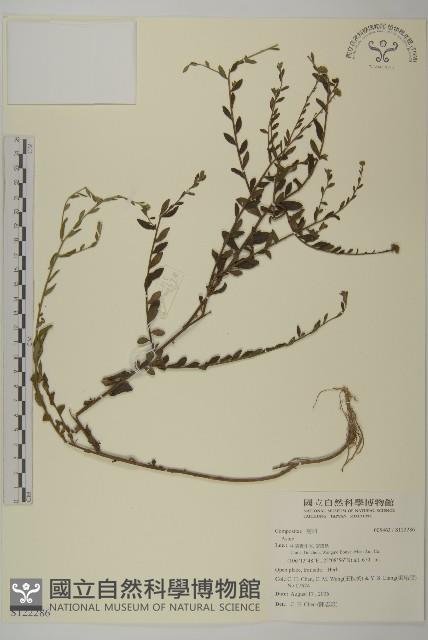 登錄號:S122286藏品圖，第1張