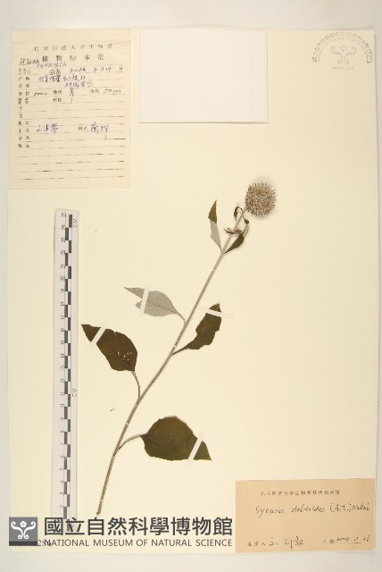 山牛旁藏品圖，第1張