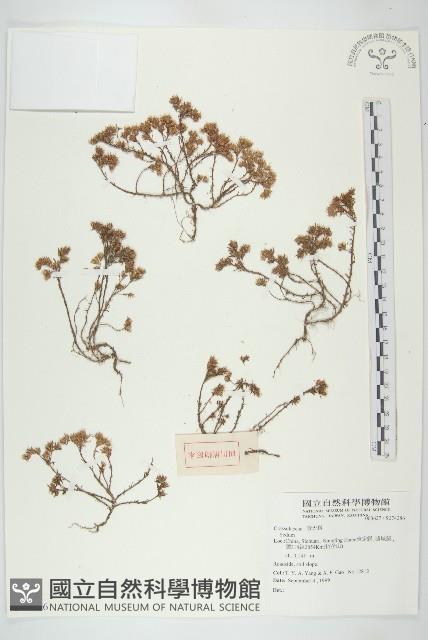 登錄號:S074286藏品圖，第1張